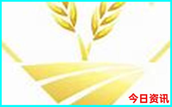 哪个地方龙虾出名